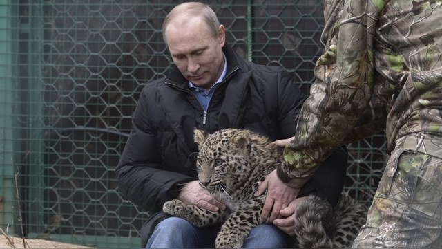 FP: Путин не хочет выбирать между леопардами и олигархами