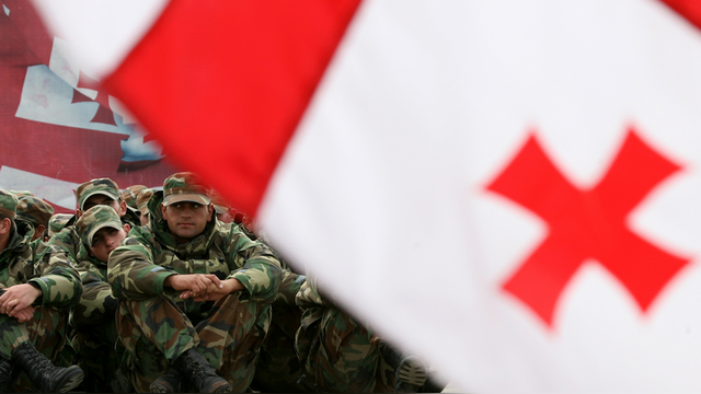 Грузия Online: Грузины не поехали на учения НАТО из-за ветрянки