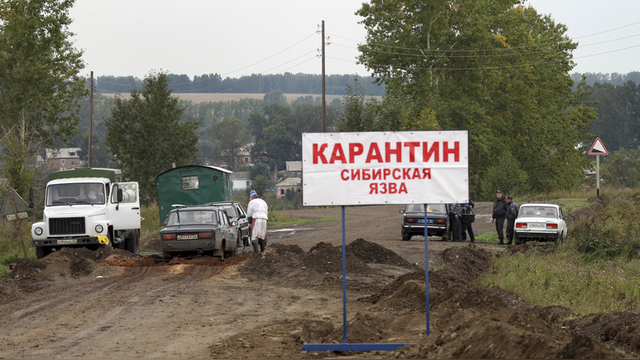 Guardian: Сибирская язва в России ударила из-под вечной мерзлоты
