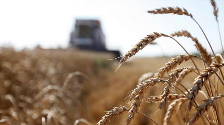FT: Невезение США и ЕС позволит России стать лидером по экспорту пшеницы