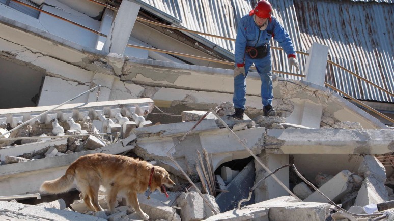 Il Giornale: Россия предложила помощь пережившей землетрясение Италии