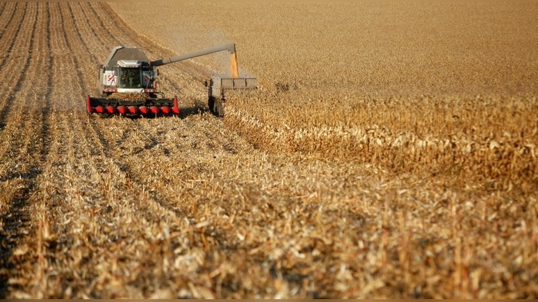 Politico: Россия выбилась в сельхозлидеры благодаря погоде, а не эмбарго 
