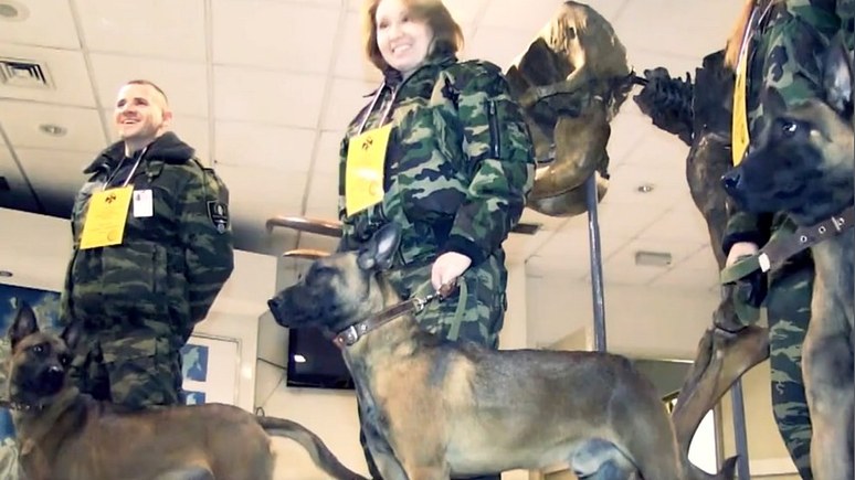 Daily Telegraph: По следу преступников в России пустят корейских собак-клонов