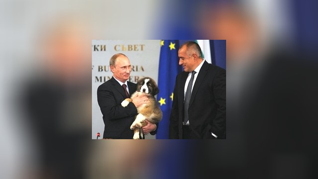 Имя для питомца Путин ищет в Интернете