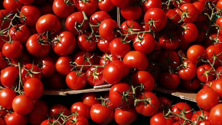 NZZ: Турция «отомстила» России за помидоры пошлинами на зерно