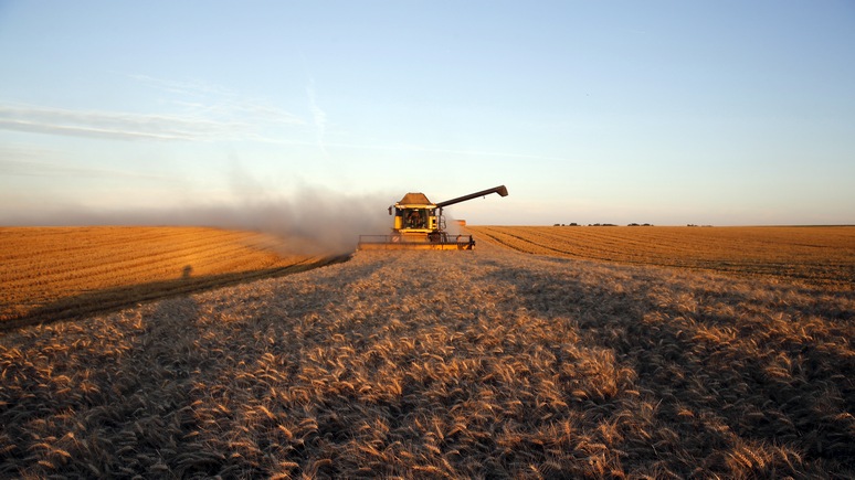 Bloomberg: США могут обойти Россию в зерновой войне