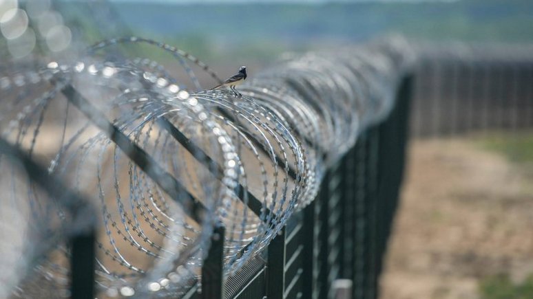 Business Insider: Литва построит на границе с Россией ограду для «предупреждения провокаций»