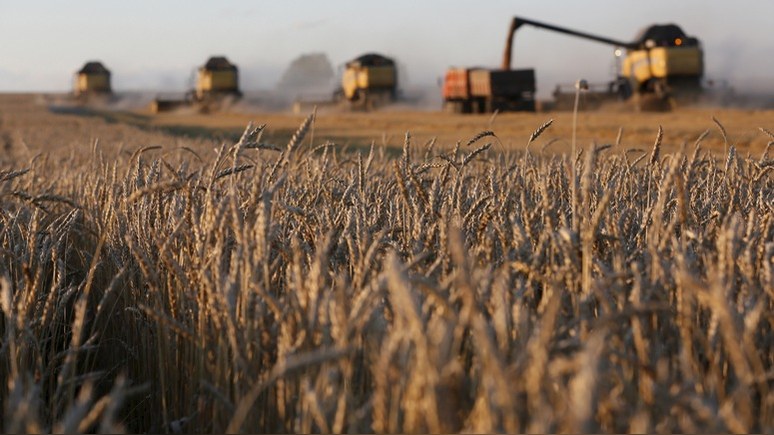 Bloomberg: дождливое лето позволит российским фермерам побить советский рекорд