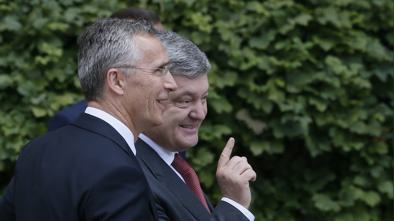 Forbes: вместо борьбы с коррупцией Киев лелеет голубую мечту о НАТО