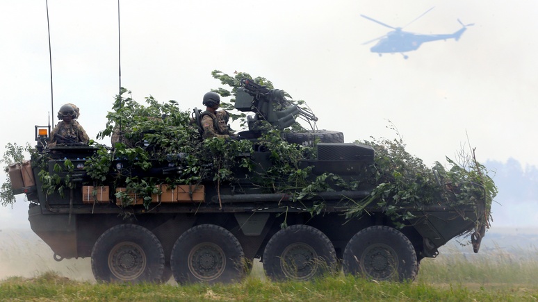 Der Tagesspiegel: американским военным пришлось отложить устрашение России из-за грибов