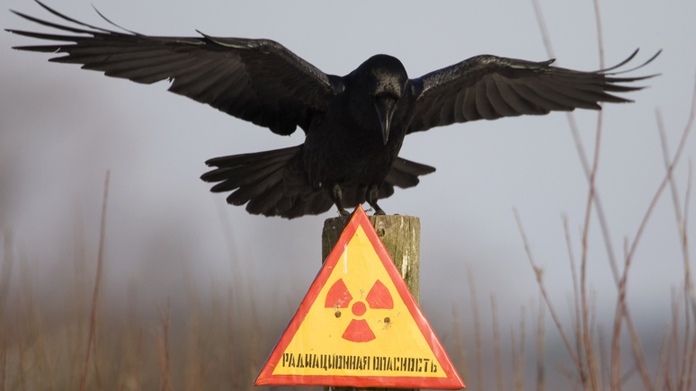 Le Figaro: в России подтвердили утечку радиации на юге Урала