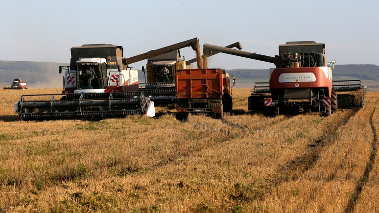 Handelsblatt: эмбарго пошло на пользу России и немецким аграриям
