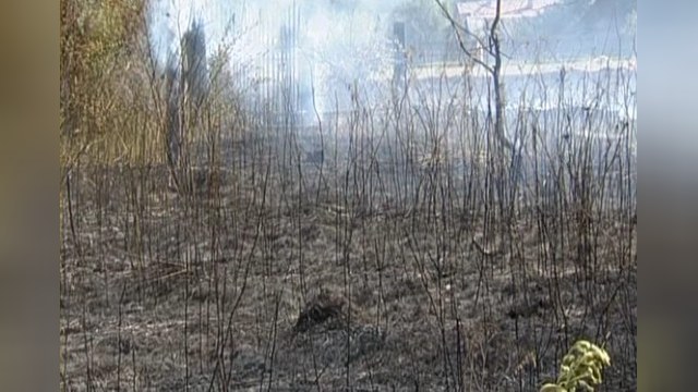 Пожары вновь отравят лето москвичам