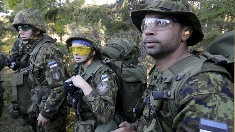 Postimees: Эстония ощетинилась «Ежом» против потенциальных агрессоров