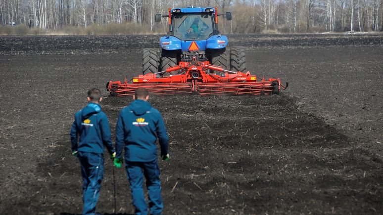 DW: санкции Запада положительно сказались на российском сельском хозяйстве