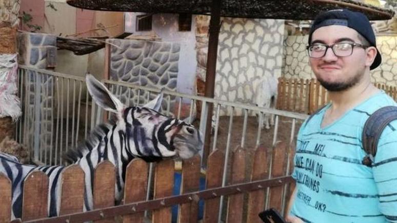 Telegraph: египетский зоопарк отрицает, что разукрасил осла под зебру 