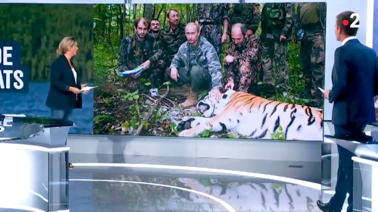 Libération уличила коллег в фабрикации новостей об «охоте Путина на тигров»