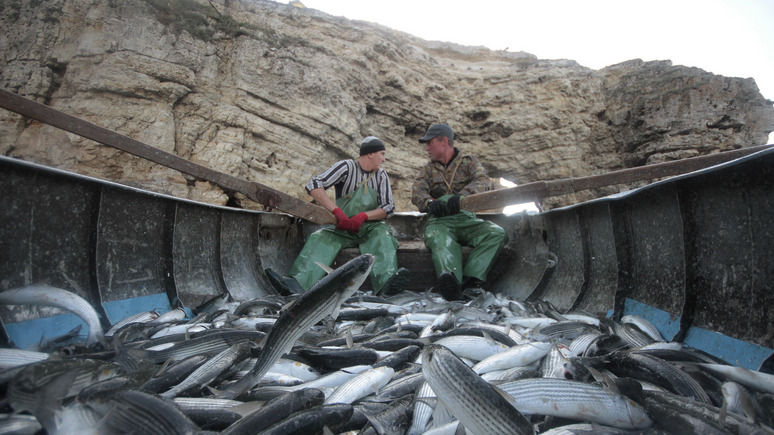 СТРАНА.ua: пьяные украинские моряки решили наладить контакты с крымскими рыбаками