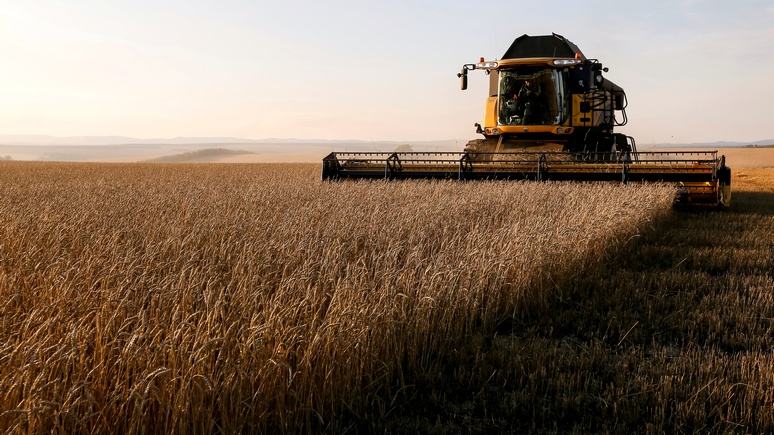 Bloomberg: выход российской пшеницы на алжирский рынок грозит Франции «катастрофой»