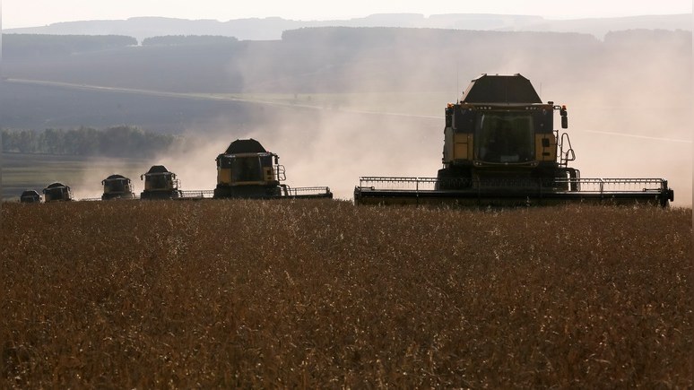 Anadolu: Турция впервые купит у России пшеницу за рубли