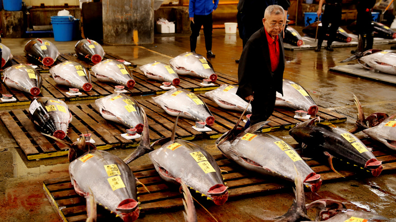 Slate: растущие потребности человечества грозят миру рыбными войнами