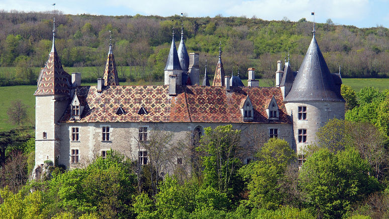 Bloomberg: «воскресшего» украинца нашли в замке во Франции