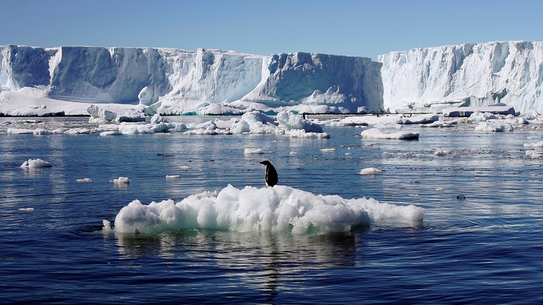 Independent: Россия, Норвегия и Китай помешали защитить Антарктику 