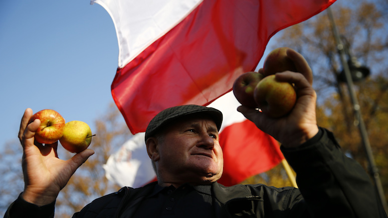 Gazeta Wyborcza: богатый урожай яблок сильно расстроил польских фермеров