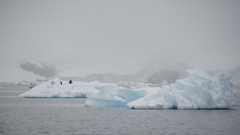 DWN: британские учёные пополнили список причин таяния льдов в Антарктиде