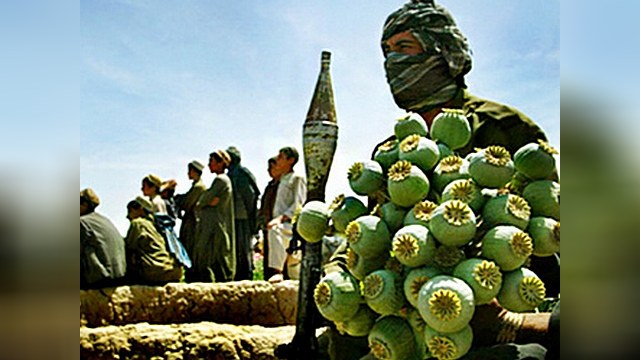 Российский ликбез для афганского наркоконтроля
