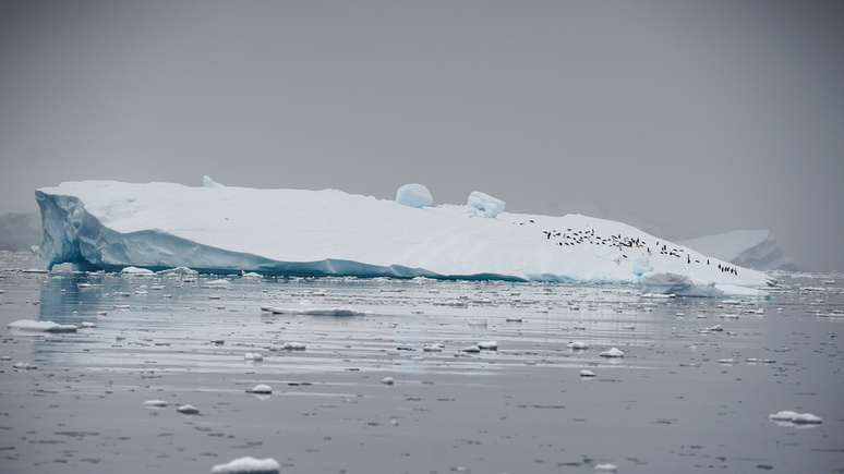 Independent: таяние льдов Антарктиды ускоряется с каждым годом