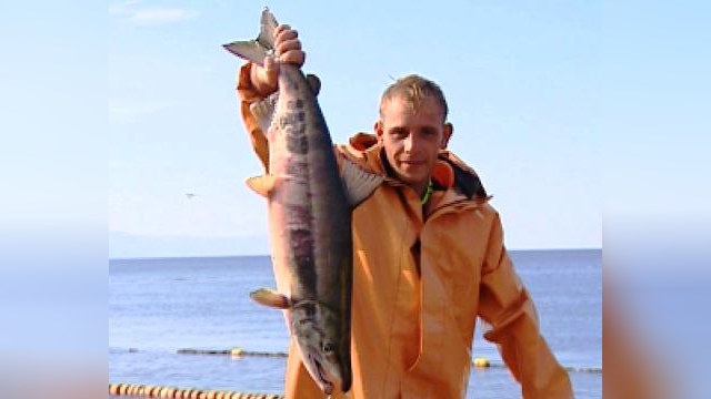 Россия ограничила ввоз норвежского лосося