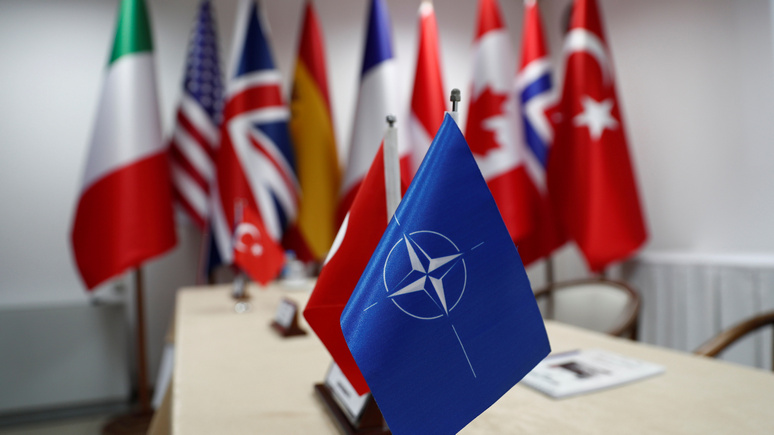 Эксперт: из-за Турции до следующего юбилея НАТО может и не дотянуть