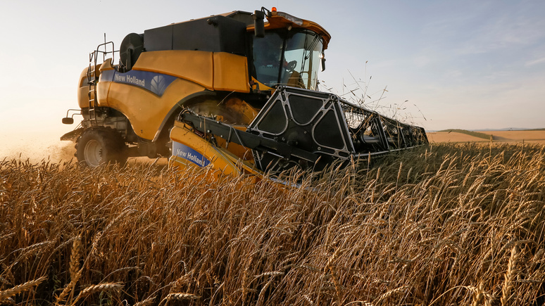 Spiegel: засуха в Европе привела к глобальному дефициту зерна