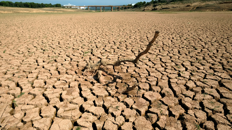 «В худшем случае все умрут»: европейские эксперты рассказали, чем грозят человечеству изменения климата