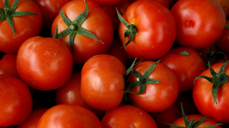 Daily Sabah: Россия покупает у Турции в 5 раз больше томатов, чем год назад