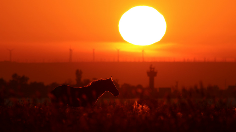 Обозреватель: в окружении Зеленского заявили о «сотрудничестве Украины с Крымским ханством в XIX веке»