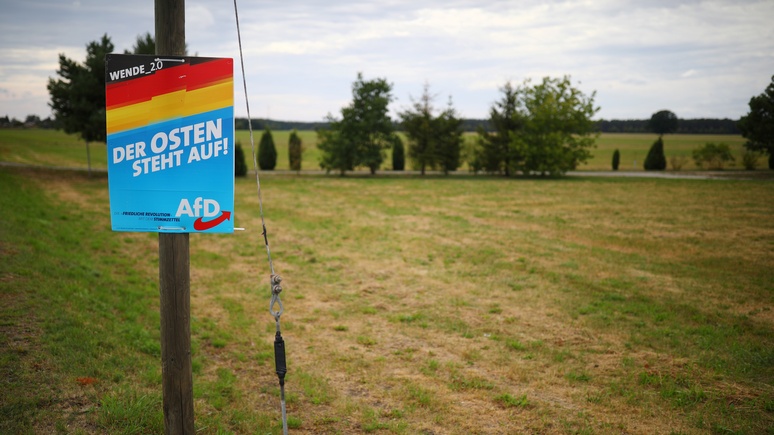 Bild: чем ближе выборы, тем дальше АдГ вырывается в лидеры на востоке Германии