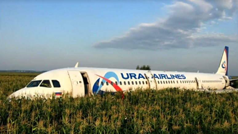 Fox News: пилота, посадившего самолёт в кукурузном поле, в России объявили героем