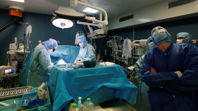 Times: британский хирург спрогнозировал, когда человеку впервые пересадят свиное сердце