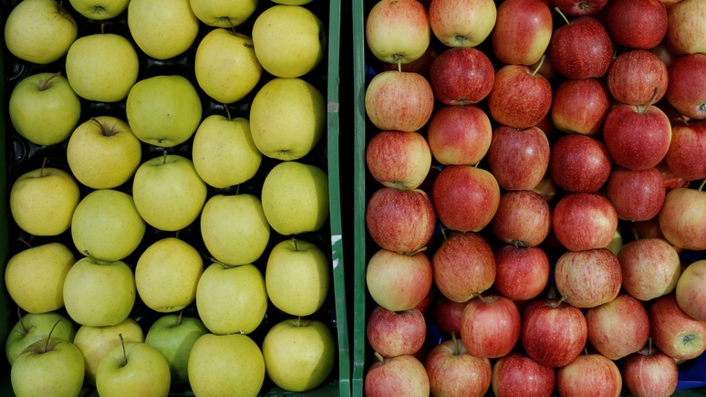 ORF: австрийские садоводы страдают от обилия польских яблок из-за российского эмбарго