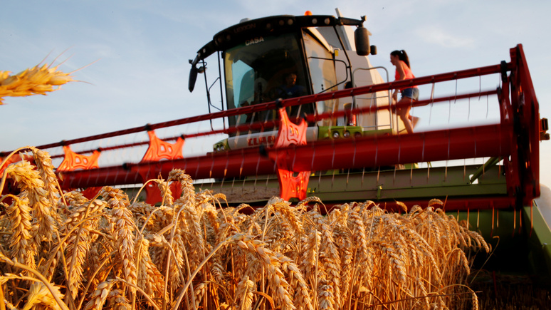 Le Figaro: американское зерно дешевеет из-за конкуренции со стороны России