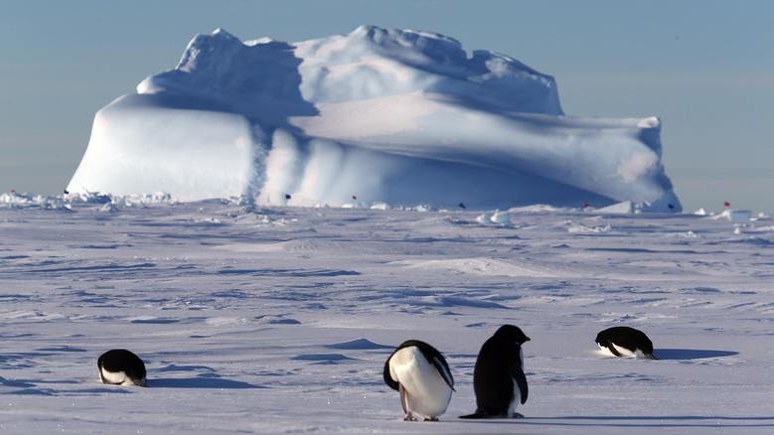 Sky News: всё больше стран видят в Антарктиде не заповедник, а добычу