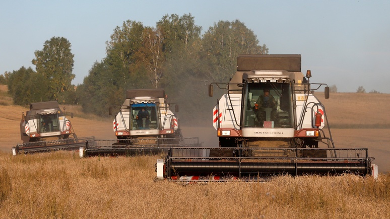 VA: решение Москвы ограничить экспорт зерна вызвало тревогу в мире
