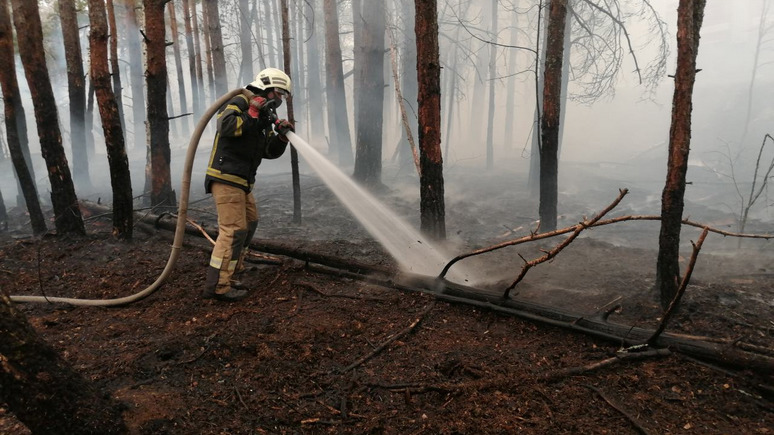 СТРАНА: украинский спецназ начал охоту на диверсантов-поджигателей в чернобыльских лесах