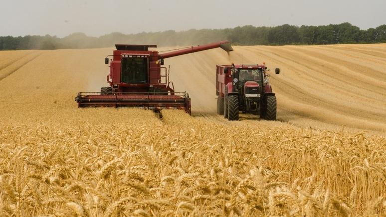 Bloomberg: из-за карантина впервые за десятилетие Россия ограничивает экспорт пшеницы