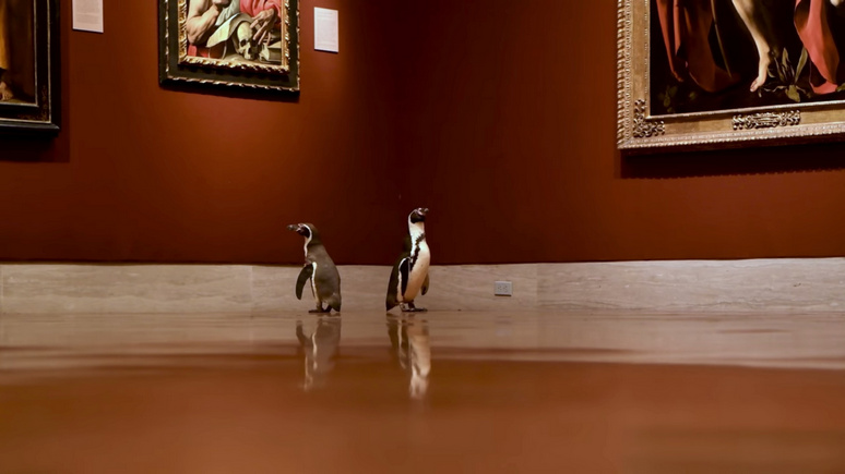 Independent: пустующий музей в Канзас-Сити провёл экскурсию для трёх пингвинов