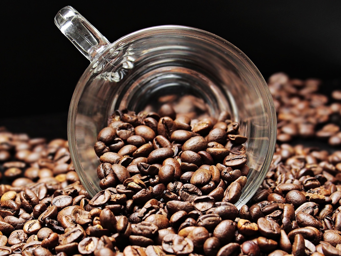 Утренний ритуал под угрозой! Глава Starbucks рассказал о страшном будущем кофе