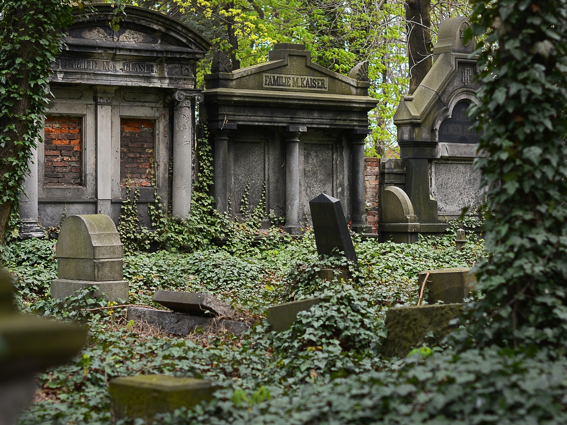 В Германии места на кладбище разыграют в лотерее