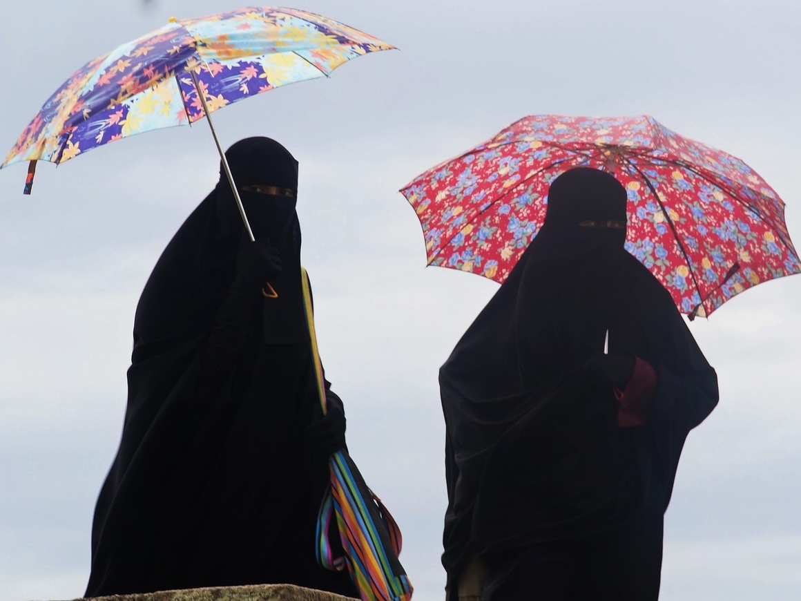 В Дании люди в никабах протестуют против запрета носить никаб